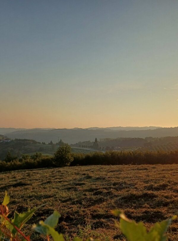 Piemont